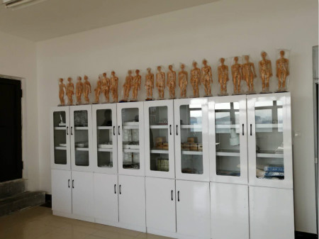 石家莊冀聯醫學院中醫康復.jpg 石家莊冀聯醫學院中醫康復.jpg