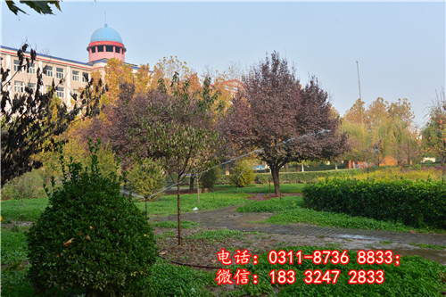 石家莊冀聯醫學中等專業學校要分數嗎？