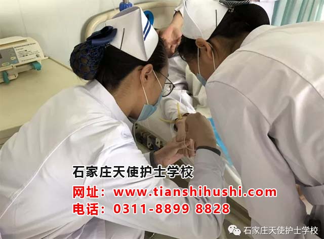 QQ截圖20190327162925副本.jpg QQ截圖20190327162925副本.jpg