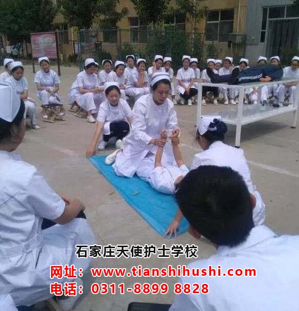 石家莊天使護士學校可以報讀臨床醫學專業嗎