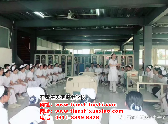 石家莊天使護士學校好嘛