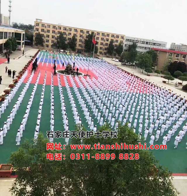 QQ圖片20190508093420.jpg QQ圖片20190508093420.jpg