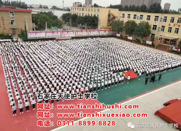 石家莊天使護士學校怎么樣