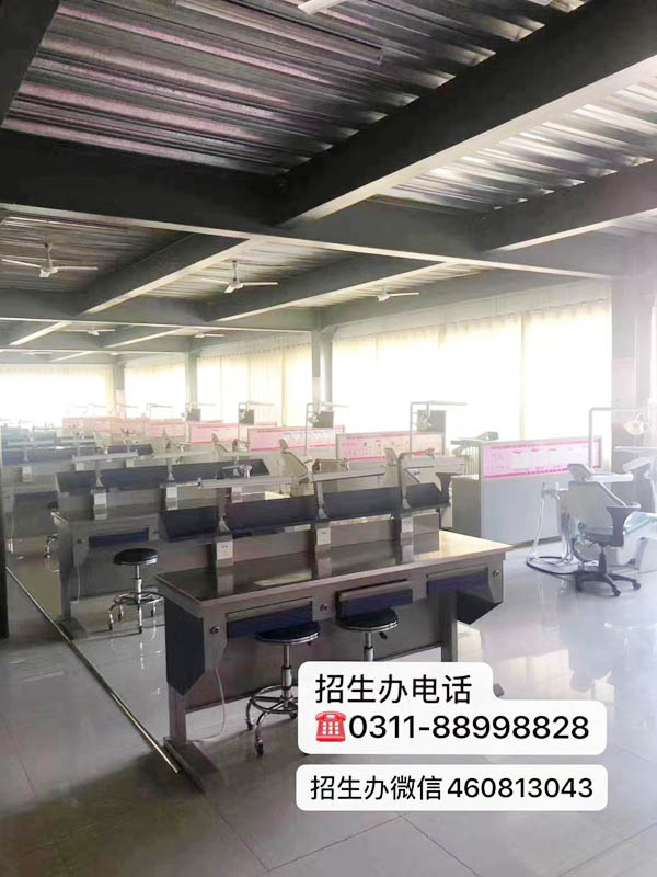 來石家莊天使護士學校學口腔專業就業前景怎么樣