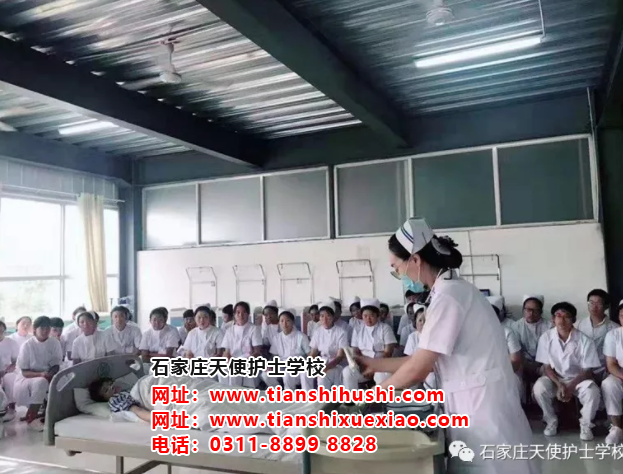 男生來石家莊天使護士學校學護理有沒有前途