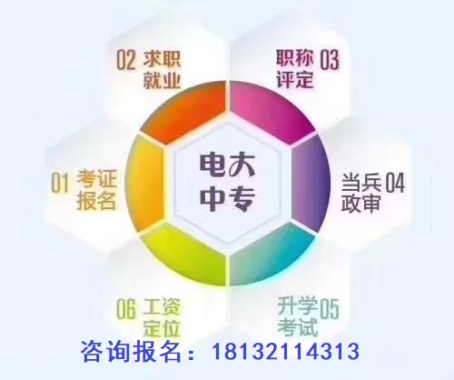 電大一年制中專是什么？