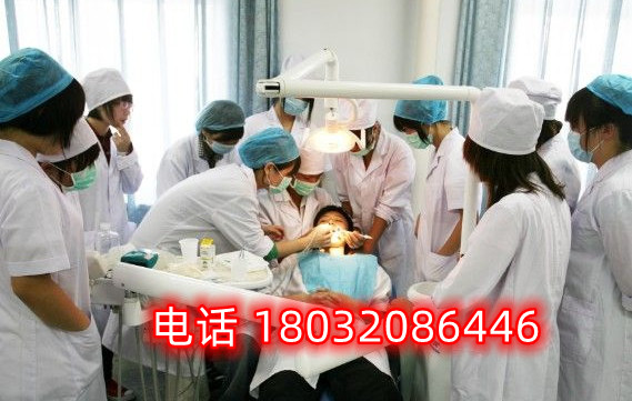 2023年河北同仁醫學院招生條件