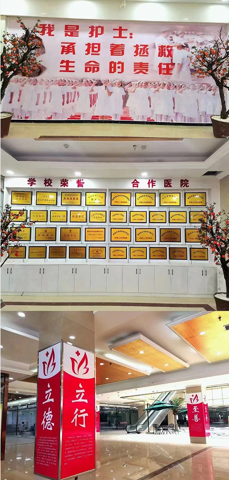 石家莊天使護士學校2026年春季招生條件