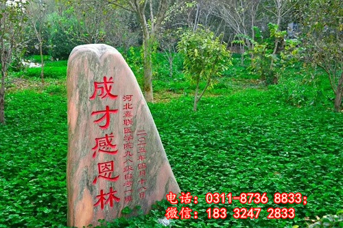 石家莊冀聯醫學院哪些專業能升學? 石家莊冀聯醫學院哪些專業能升學?