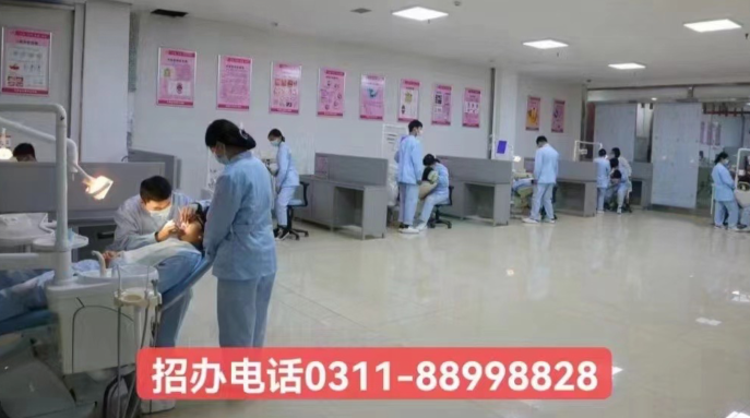 石家莊天使護士學校2026年春季口腔專業學費