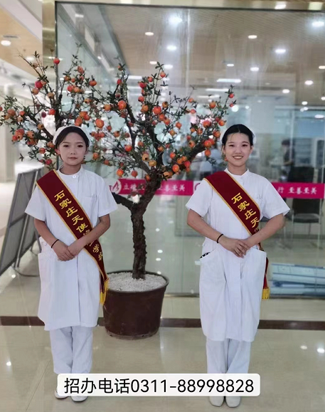 2024年石家莊天使護士學校招生簡章，開啟醫護夢想的新征程！