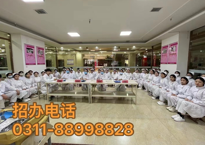 護理專業招生簡章 | 石家莊天使護士學校 2024年春季新生報名正式開始