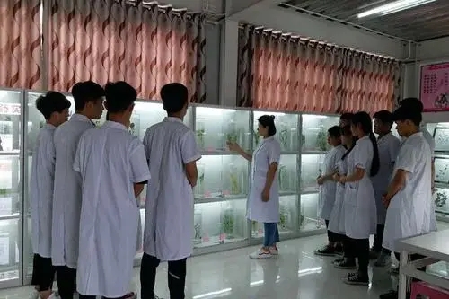 初中畢業學藥劑師學校哪里有