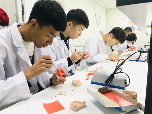 口腔修復工藝專業可以考醫師資格證嗎