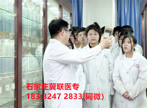 2024年承德護理職業學院單招分數線