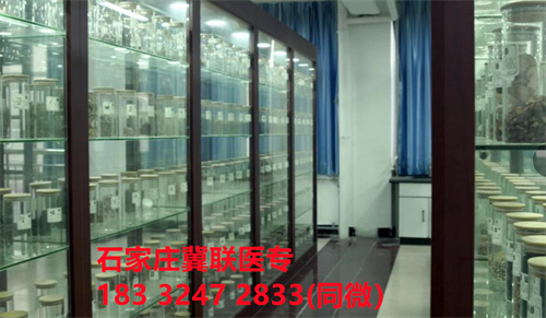 QQ截圖20240405183555.jpg QQ截圖20240405183555.jpg