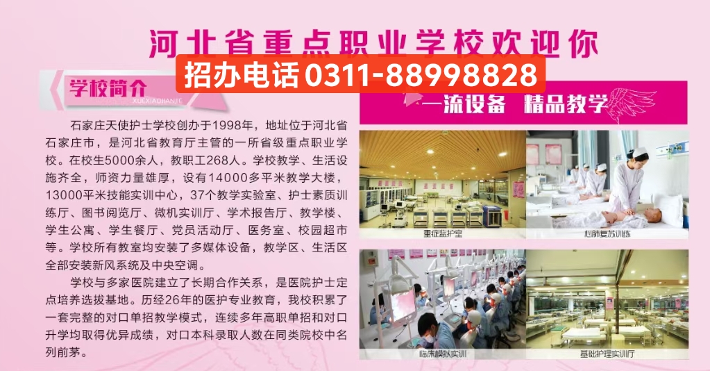 石家莊天使護(hù)士學(xué)校2026年春季招生要求解讀