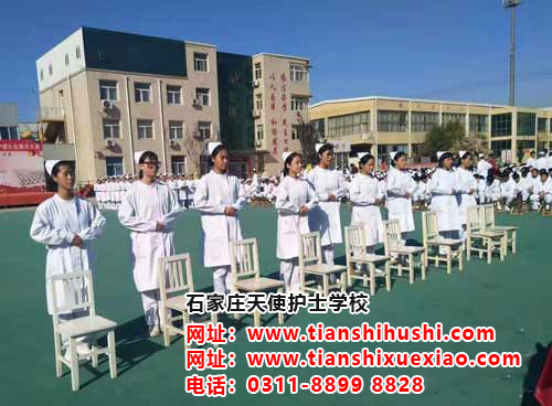 石家莊天使護士學校2026年秋招都有哪些專業