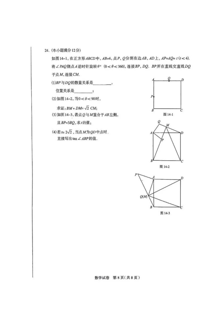 2025年河北石家莊中考一模數(shù)學(xué)試卷(含答案)(初三試卷分析 初二家長收藏)