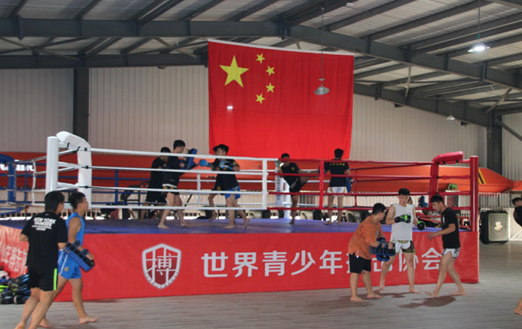 2026石家莊教聯高級職業中學武術、體育專業火熱招生中