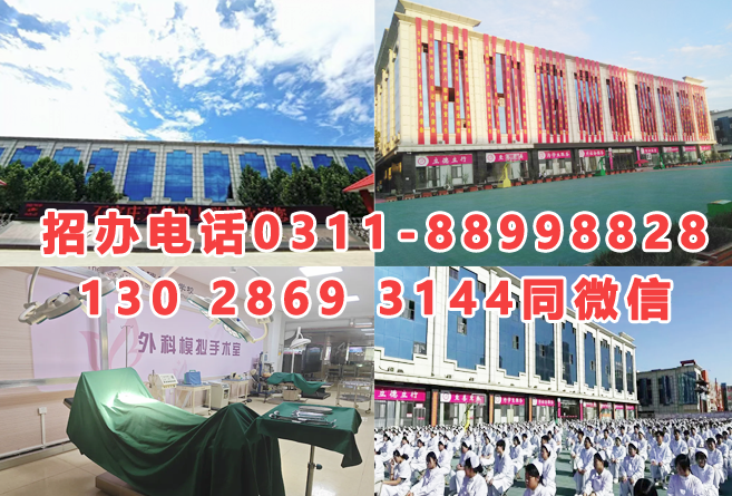 2026年石家莊天使護(hù)士學(xué)校春季招生要求