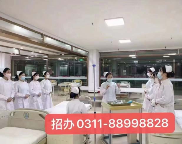 石家莊天使護士學校2026年秋季錄取分數線